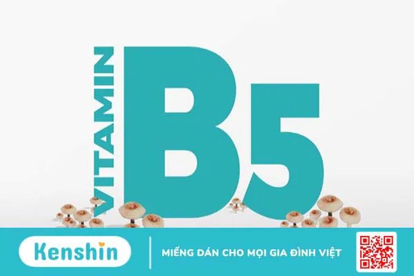 Liều dùng, cách dùng vitamin B5 hiệu quả, an toàn