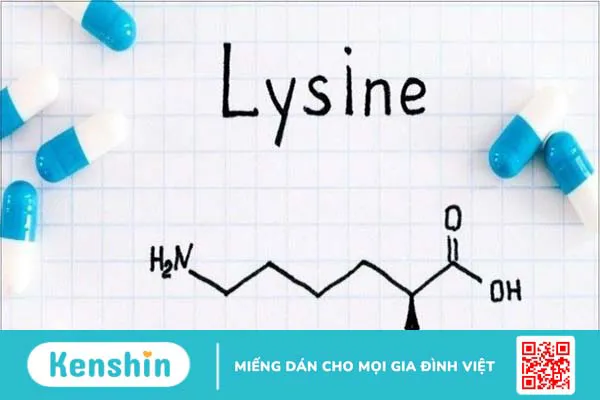 Lợi ích của Lysine đối với mụn trứng cá