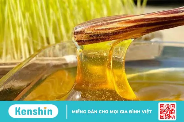 Mạch nha là gì? 4 công dụng mạch nha tốt cho sức khỏe