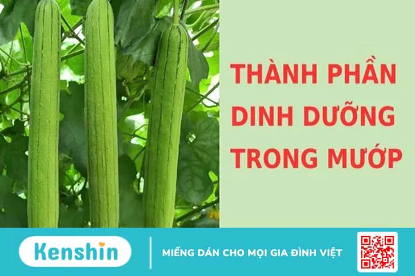 Mướp bao nhiêu calo? Ăn mướp có giảm cân không? Cách ăn không tăng cân