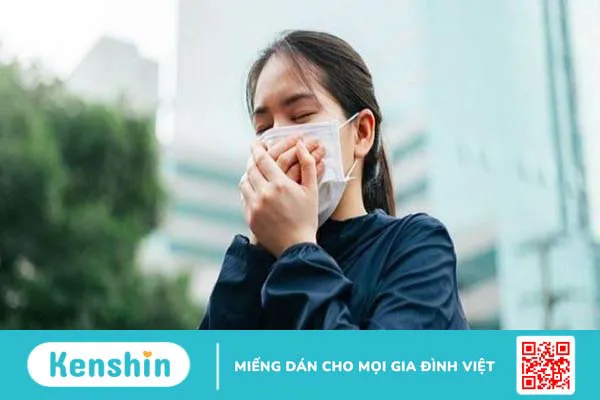 Những lợi ích bất ngờ của dầu bạch đàn