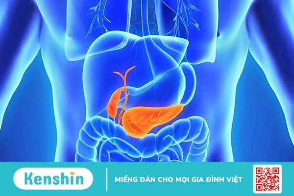 Những nguyên nhân gây bệnh tiểu đường và biến chứng cần lưu ý