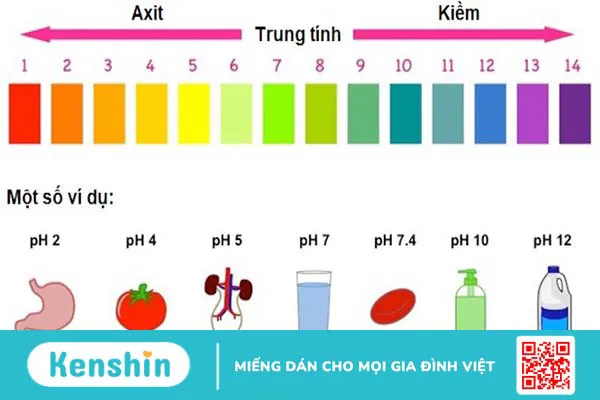 Nước tiểu đục là bệnh gì? Nguyên nhân và dấu hiệu bạn nên cảnh giác