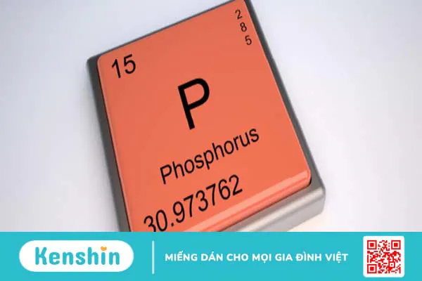 Phospho là gì? Tác dụng, cách dùng, tác dụng phụ cần biết