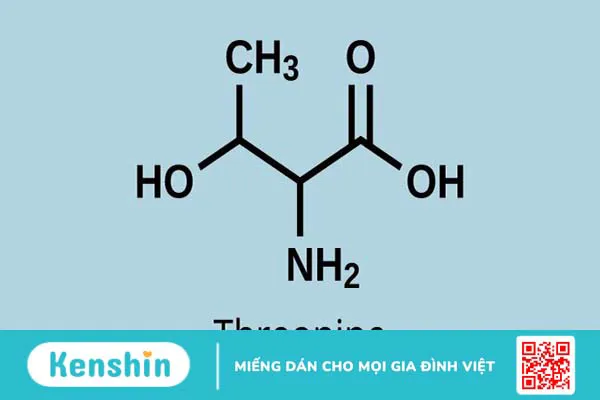 Threonine là gì? Vai trò của Threonine với sức khỏe