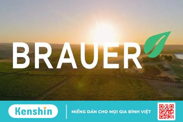 Thương hiệu Brauer của nước nào? Có tốt không?