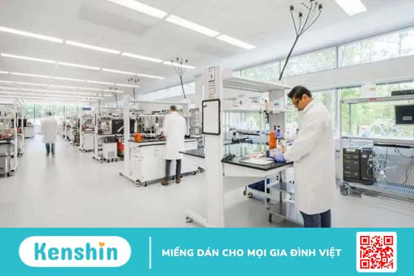 Thương hiệu SmithKline Beecham Limited của nước nào? Có tốt không?