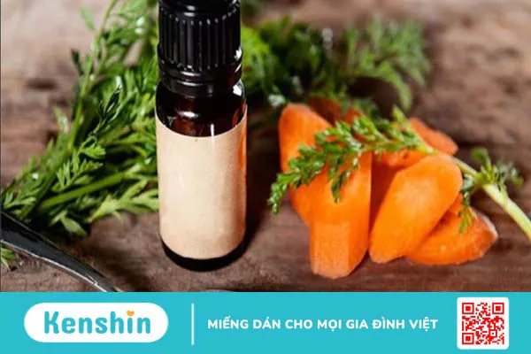 Tinh dầu hạt cà rốt là gì? Lợi ích của tinh dầu hạt cà rốt mang đến cho sức khỏe