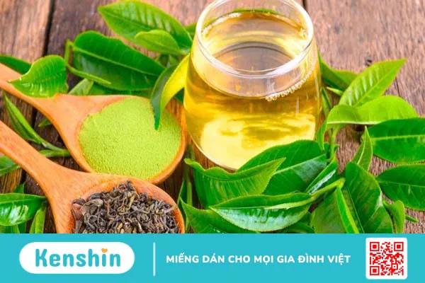 Top 10 thành phần phổ biến trong thuốc giảm cân