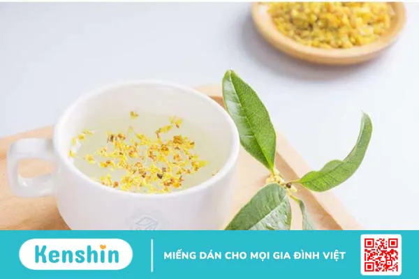 Top 6 các loại trà thảo mộc giúp ngủ ngon