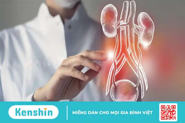 Triệu chứng bàng quang thần kinh bạn không nên bỏ qua