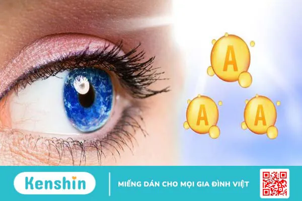 Vai trò chủ yếu của vitamin A đối với cơ thể con người