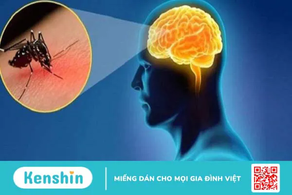 Viêm não Nhật Bản tiêm mấy mũi? Lịch tiêm cho người lớn và trẻ em