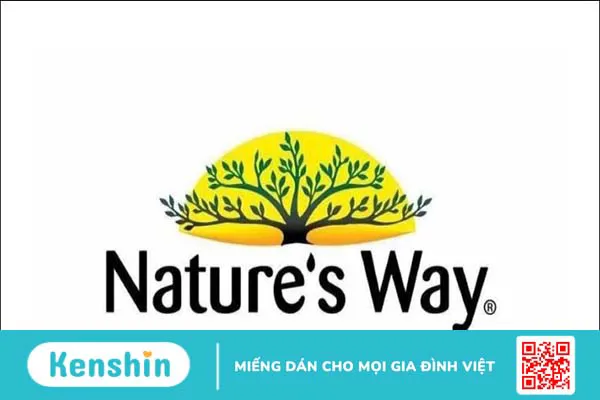 Viên uống Nature’s Way High Strength Ginkgo Biloba có tốt không?