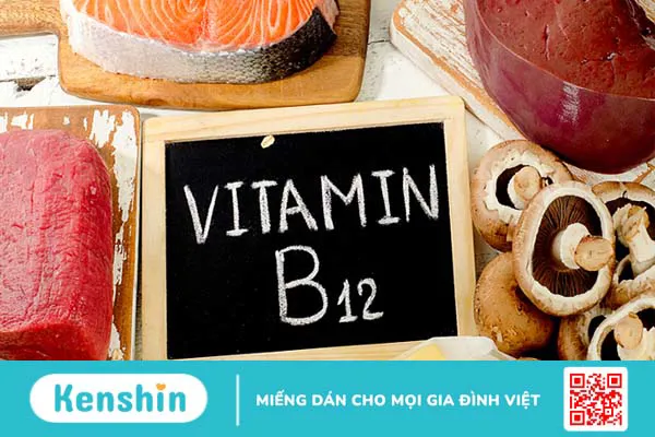 Vitamin B12 là gì? Tác dụng, cách dùng, tác dụng phụ, thực phẩm giàu vitamin B12