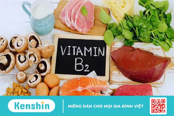 Vitamin B2 có trong thực phẩm nào? Top 14 thực phẩm giàu vitamin B2