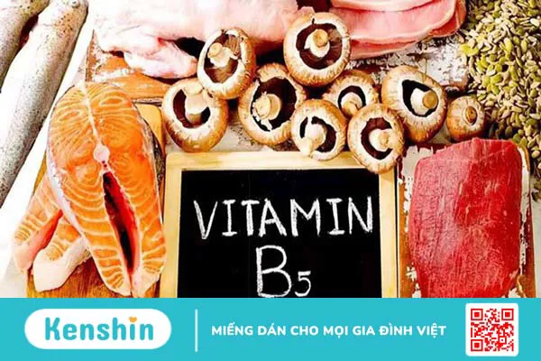 Vitamin B5 là gì? Tác dụng, cách dùng, thực phẩm chứa vitamin B5