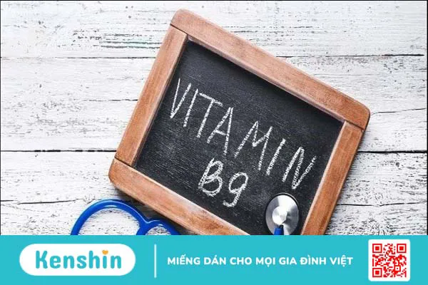 Vitamin B9 có trong thực phẩm nào? Top 14 thực phẩm giàu vitamin B9